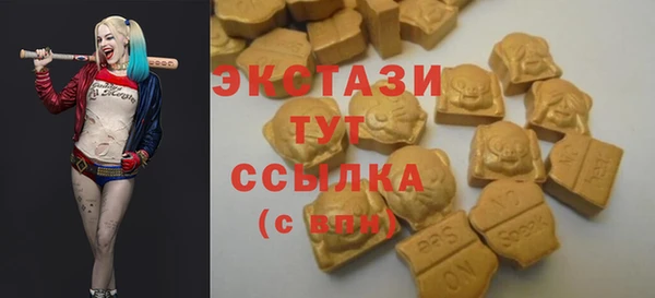 дживик Белокуриха