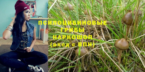 дживик Белокуриха